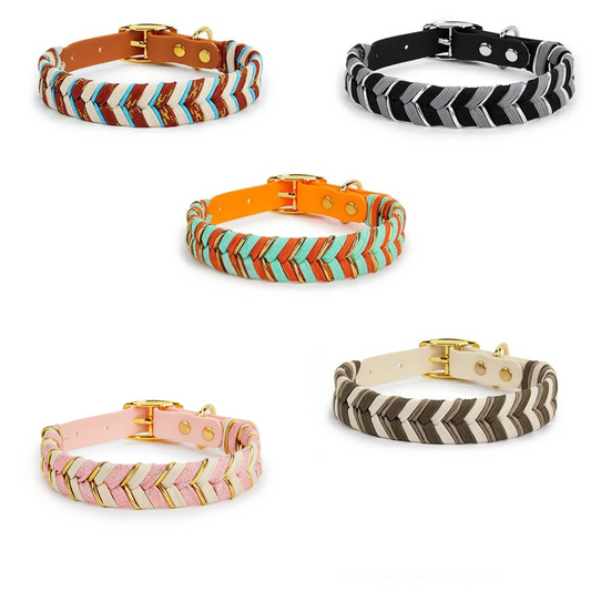 Stylisches Hundehalsband - Qualität & Designe in Perfektion