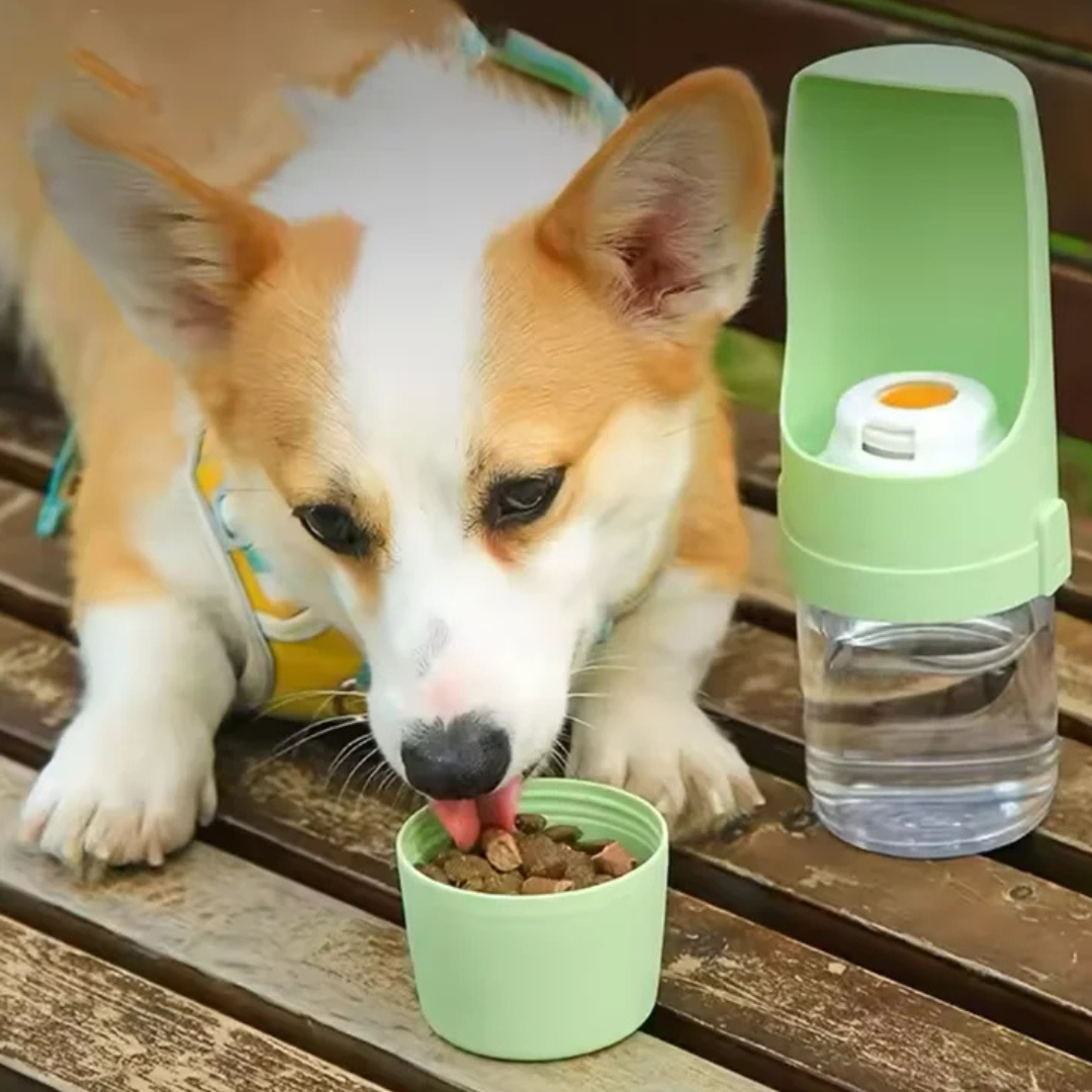 Tragbarer Futter- und Wasserspender - Ideal für unterwegs