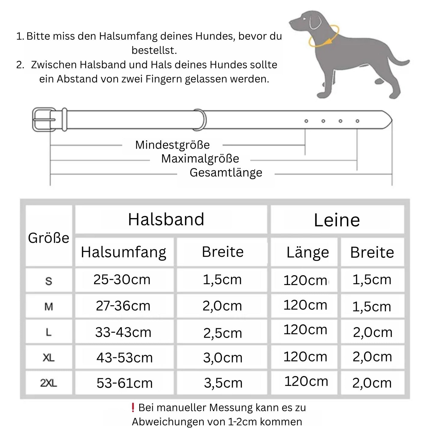 Personalisiertes Hundehalsband - Persönlichkeit und Sicherheit in einem
