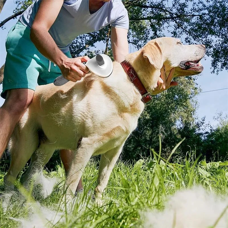 Selbstreinigende Haarbürste -  Endlich problemlose Fellpflege