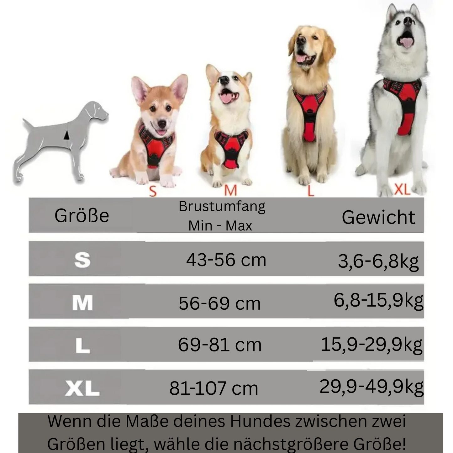 Ergonomisches Y- Hundegeschirr - für frei bewegliche Schultern