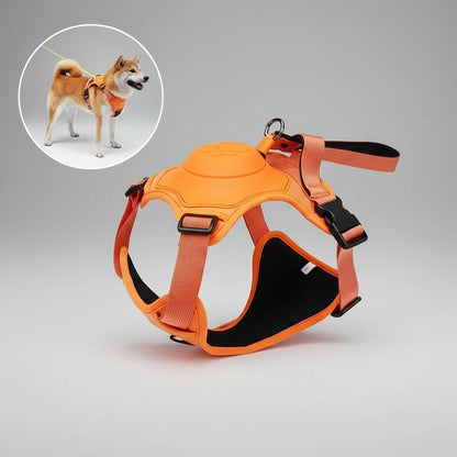 2-in-1 Hundegeschirr mit integrierter Leine - Kein lästiges Mitschleppen mehr