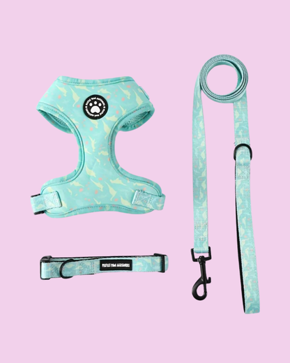 3 in 1 Hundegeschirr Set - Geschirr, Halsband und Leine