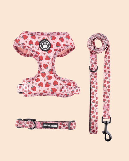 3 in 1 Hundegeschirr Set - Geschirr, Halsband und Leine