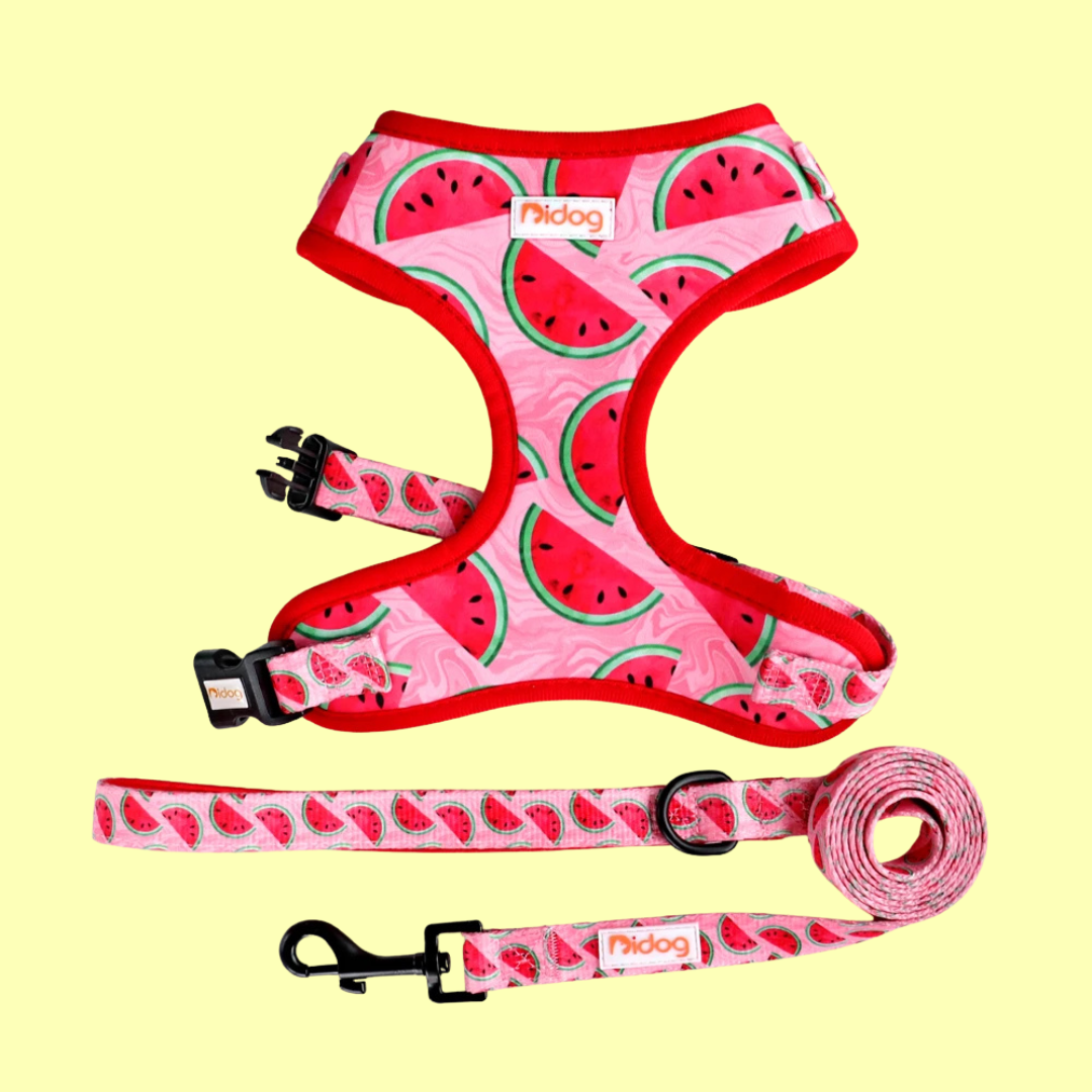 Design-Hundegeschirr Set im einzigartigen Look - Bequem, Sicher & Stilvoll