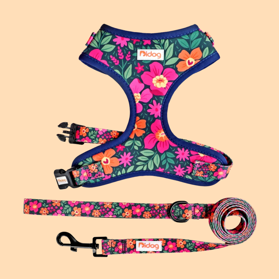 Design-Hundegeschirr Set im einzigartigen Look - Bequem, Sicher & Stilvoll