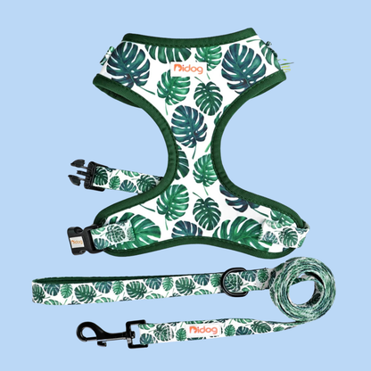 Design-Hundegeschirr Set im einzigartigen Look - Bequem, Sicher & Stilvoll