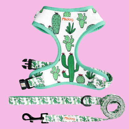 Design-Hundegeschirr Set im einzigartigen Look - Bequem, Sicher & Stilvoll