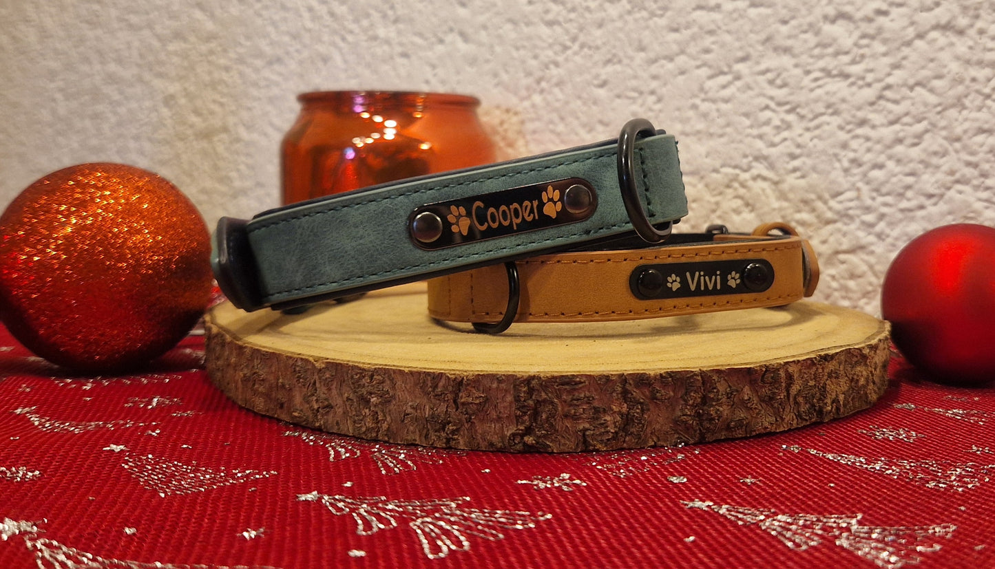 Personalisiertes Hundehalsband – mit Name & Telefonnummer für mehr Sicherheit