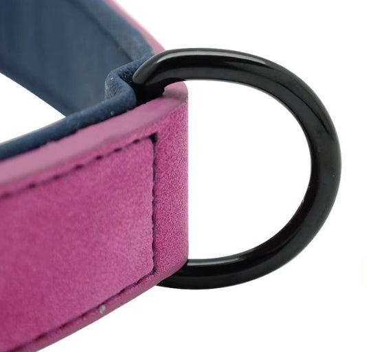 Personalisiertes Hundehalsband – mit Name & Telefonnummer für mehr Sicherheit