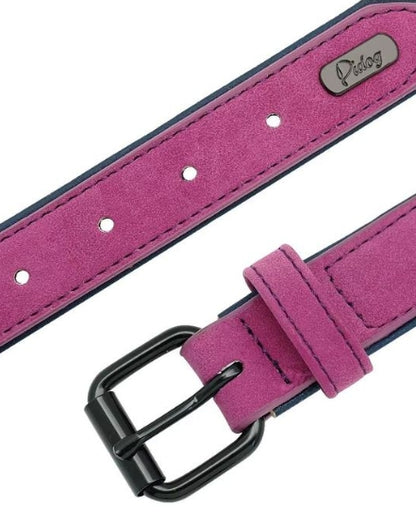 Personalisiertes Hundehalsband – mit Name & Telefonnummer für mehr Sicherheit