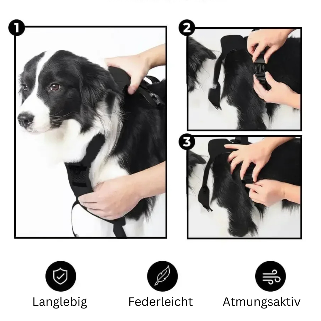 2-in-1 Hundegeschirr mit integrierter Leine - Kein lästiges Mitschleppen mehr