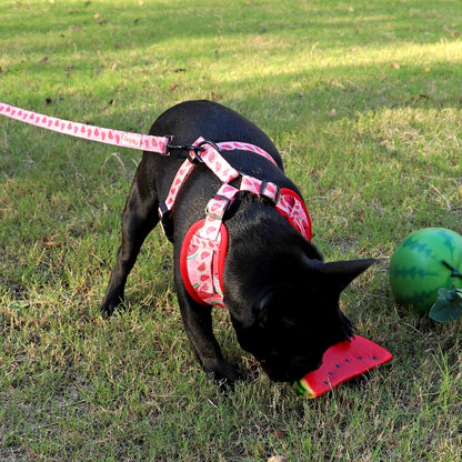 Design-Hundegeschirr Set im einzigartigen Look - Bequem, Sicher & Stilvoll