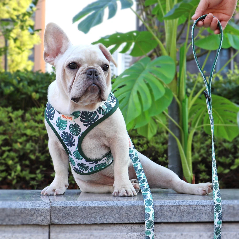 Design-Hundegeschirr Set im einzigartigen Look - Bequem, Sicher & Stilvoll