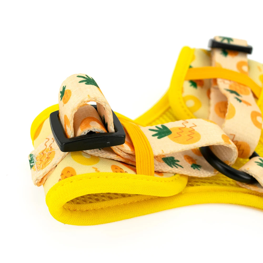 Verstellbares Hundegeschirr mit Ananas-Print