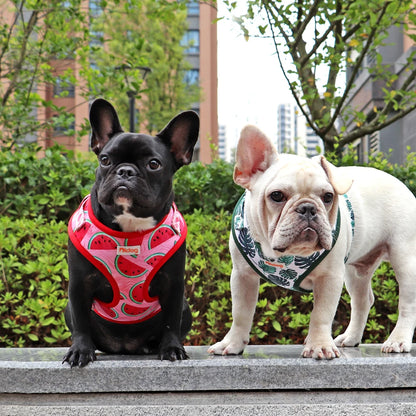 Design-Hundegeschirr Set im einzigartigen Look - Bequem, Sicher & Stilvoll