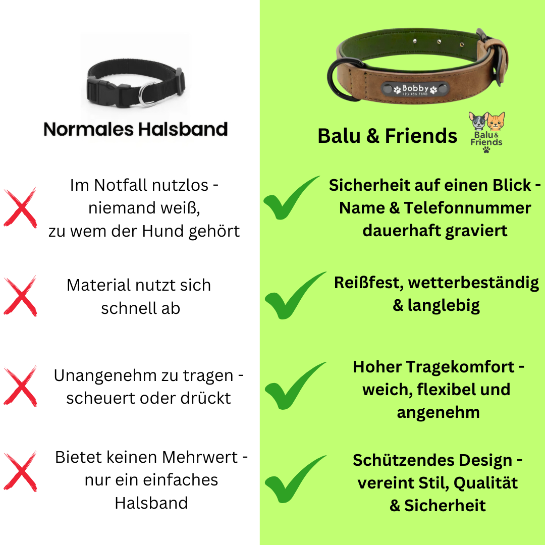 Personalisiertes Hundehalsband – mit Name & Telefonnummer für mehr Sicherheit