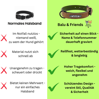 Personalisiertes Hundehalsband – mit Name & Telefonnummer für mehr Sicherheit