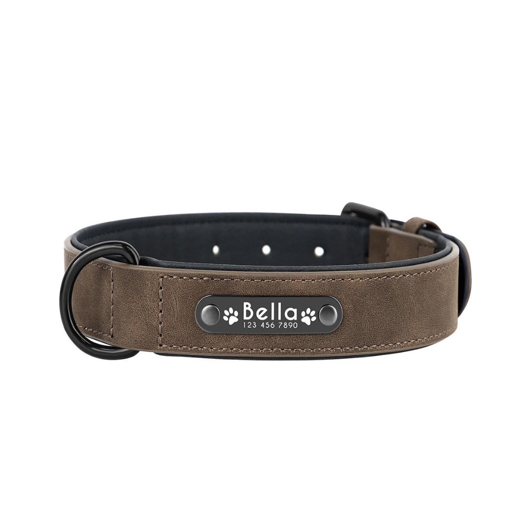 Personalisiertes Hundehalsband – mit Name & Telefonnummer für mehr Sicherheit