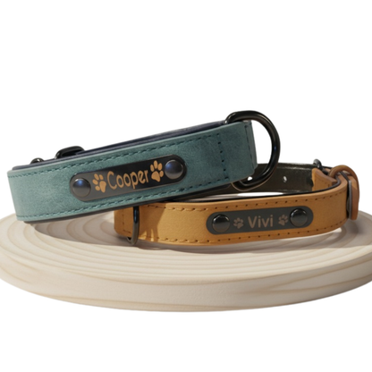Personalisiertes Hundehalsband – mit Name & Telefonnummer für mehr Sicherheit