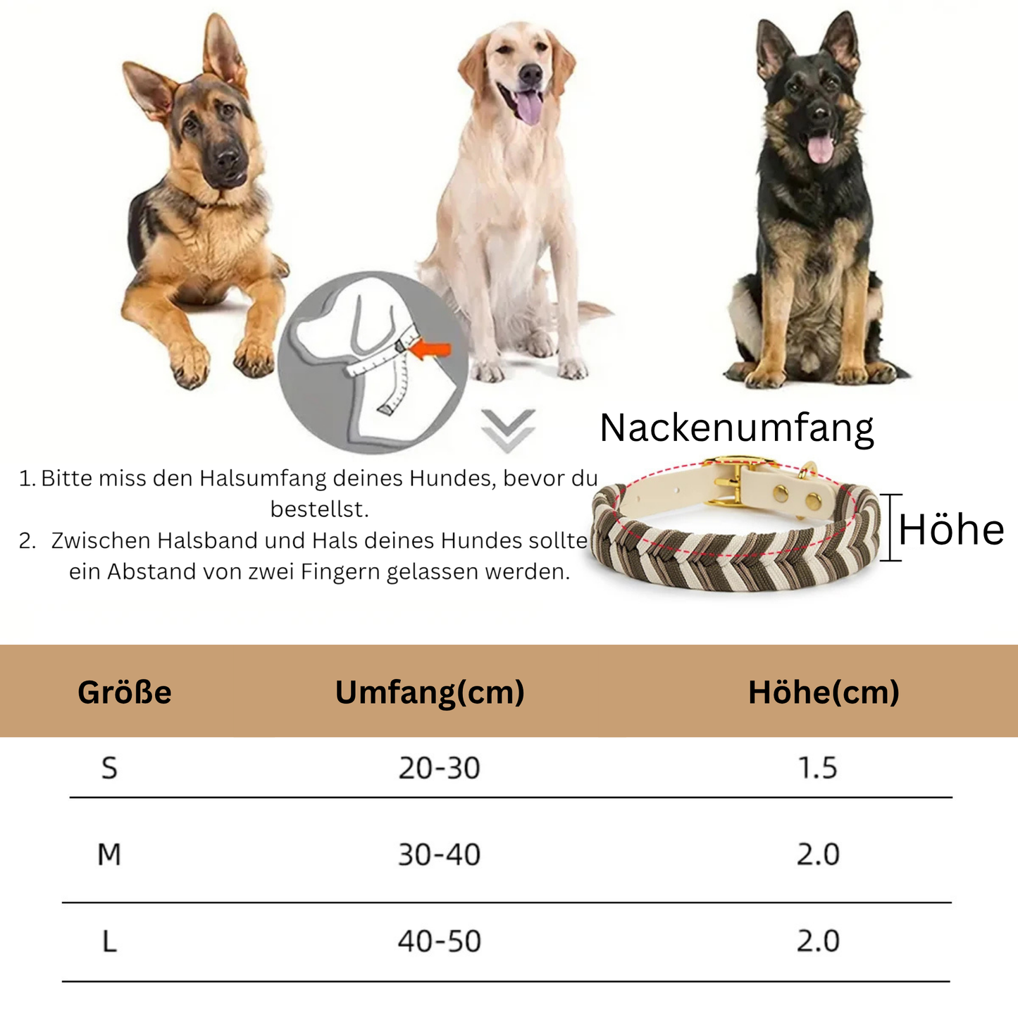 Stylisches Hundehalsband - Qualität & Designe in Perfektion