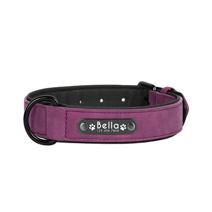 Personalisiertes Hundehalsband – mit Name & Telefonnummer für mehr Sicherheit