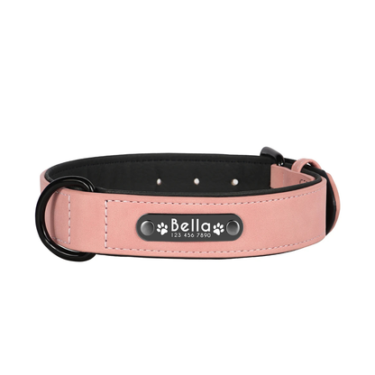 Personalisiertes Hundehalsband – mit Name & Telefonnummer für mehr Sicherheit