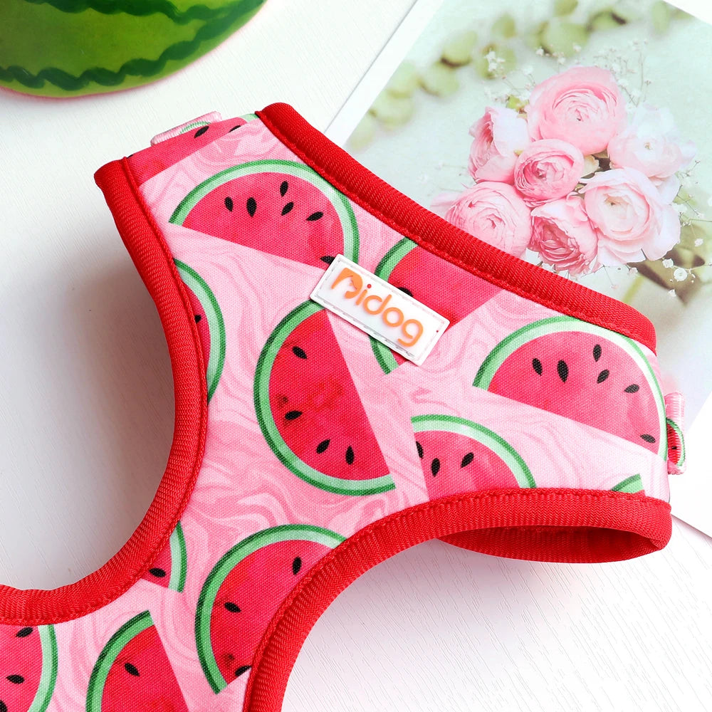 Design-Hundegeschirr Set im einzigartigen Look - Bequem, Sicher & Stilvoll