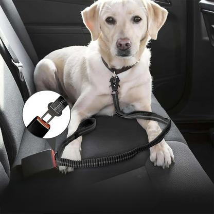 Premium Sicherheitsleine - Auto-Gurt & Heavy Duty Führleine mit Sicherheits-Karabiner