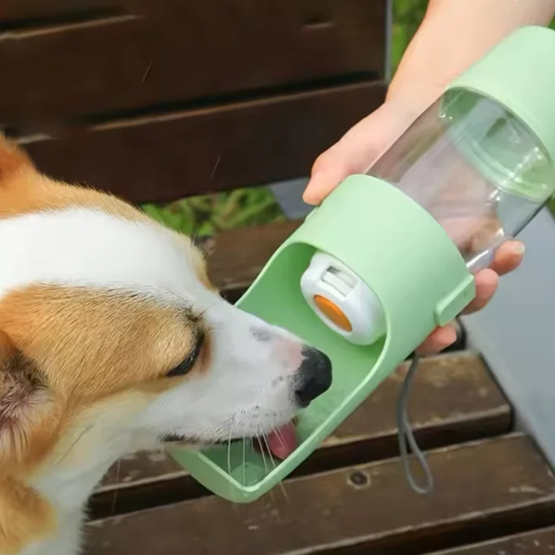 Tragbarer Futter- und Wasserspender - Ideal für unterwegs