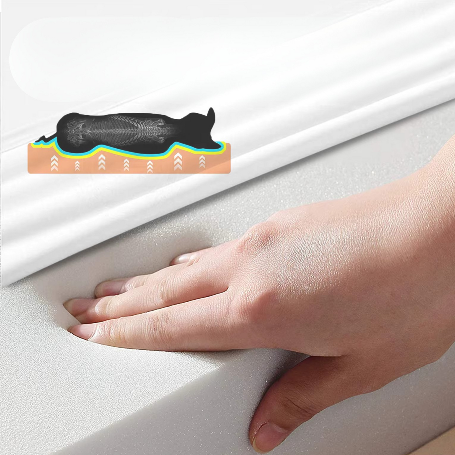 Orthopädisches Hundebett - gesunder & erholsamer Schlaf