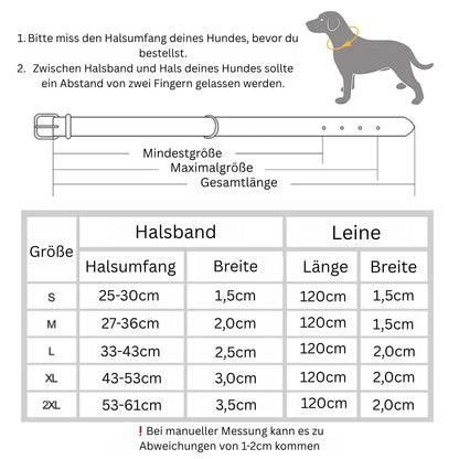 Personalisiertes Hundehalsband - Persönlichkeit und Sicherheit in einem