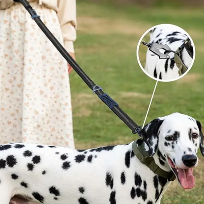 Premium Sicherheitsleine - Auto-Gurt & Heavy Duty Führleine mit Sicherheits-Karabiner