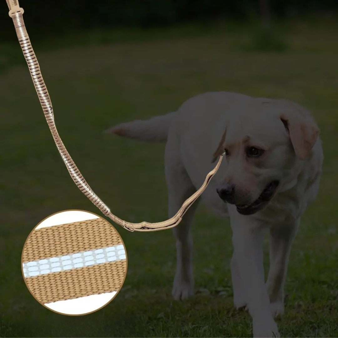 Premium Sicherheitsleine - Auto-Gurt & Heavy Duty Führleine mit Sicherheits-Karabiner