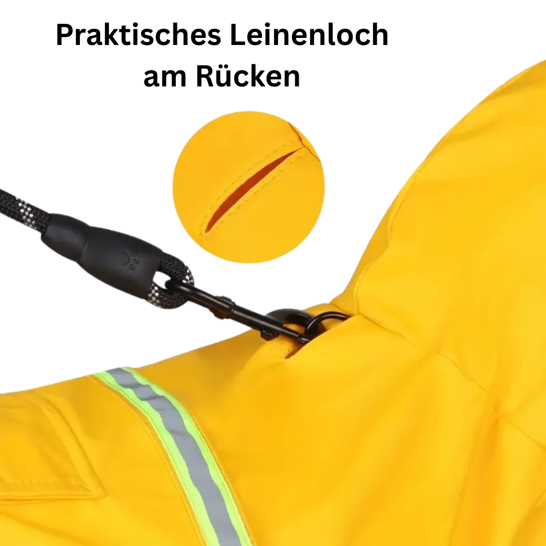 Wasserabweisender Regenmantel - Endlich Schluss mit nassem Fell und Schmutz