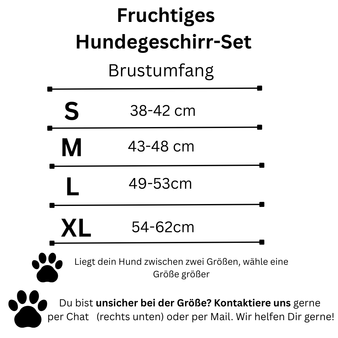 Fruchtiges Anti-Zug Hundegeschirr mit Leine