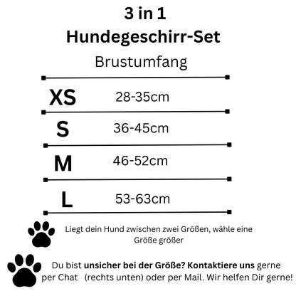 3 in 1 Hundegeschirr Set - Geschirr, Halsband und Leine