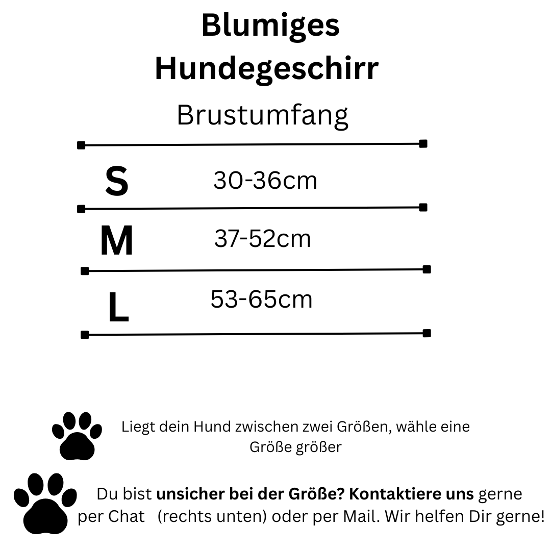 Blumiges Hundegeschirr - atmungsaktiv und reflektierend