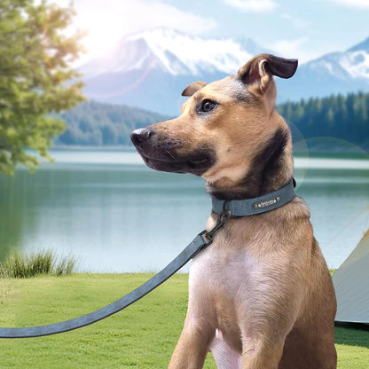Personalisiertes Hundehalsband - Persönlichkeit und Sicherheit in einem