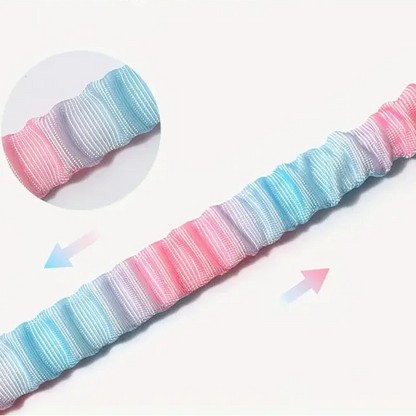 Auto-Sicherheitsgurt für Hunde - Sicherheit auf jeder Autofahrt