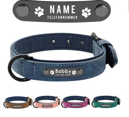 Personalisiertes Hundehalsband – mit Name & Telefonnummer für mehr Sicherheit