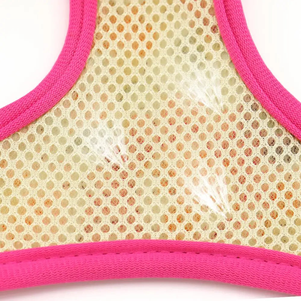 Blumiges Hundegeschirr - atmungsaktiv und reflektierend