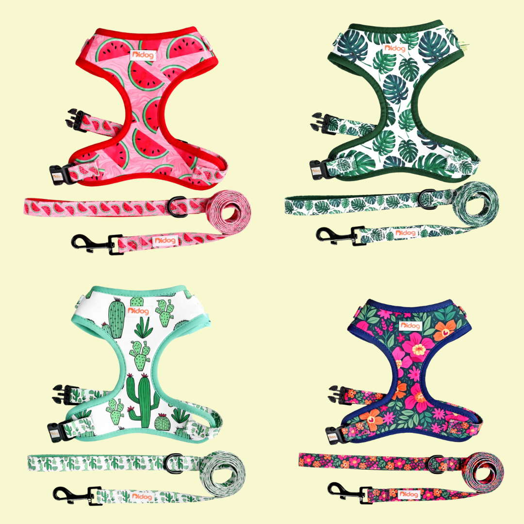 Design-Hundegeschirr Set im einzigartigen Look - Bequem, Sicher & Stilvoll