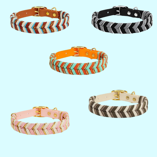 Stylisches Hundehalsband - Qualität & Designe in Perfektion