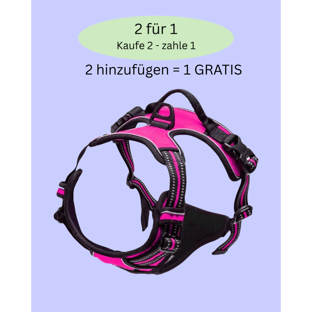 Anti-Zug Y-Geschirr mit Front-Clip – volle Kontrolle ohne Würgen