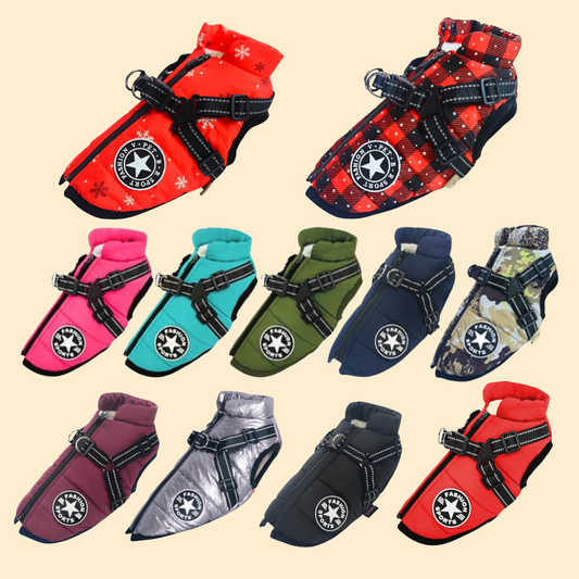 Warmer Premium Hunde-Wintermantel - mit integriertem Geschirr