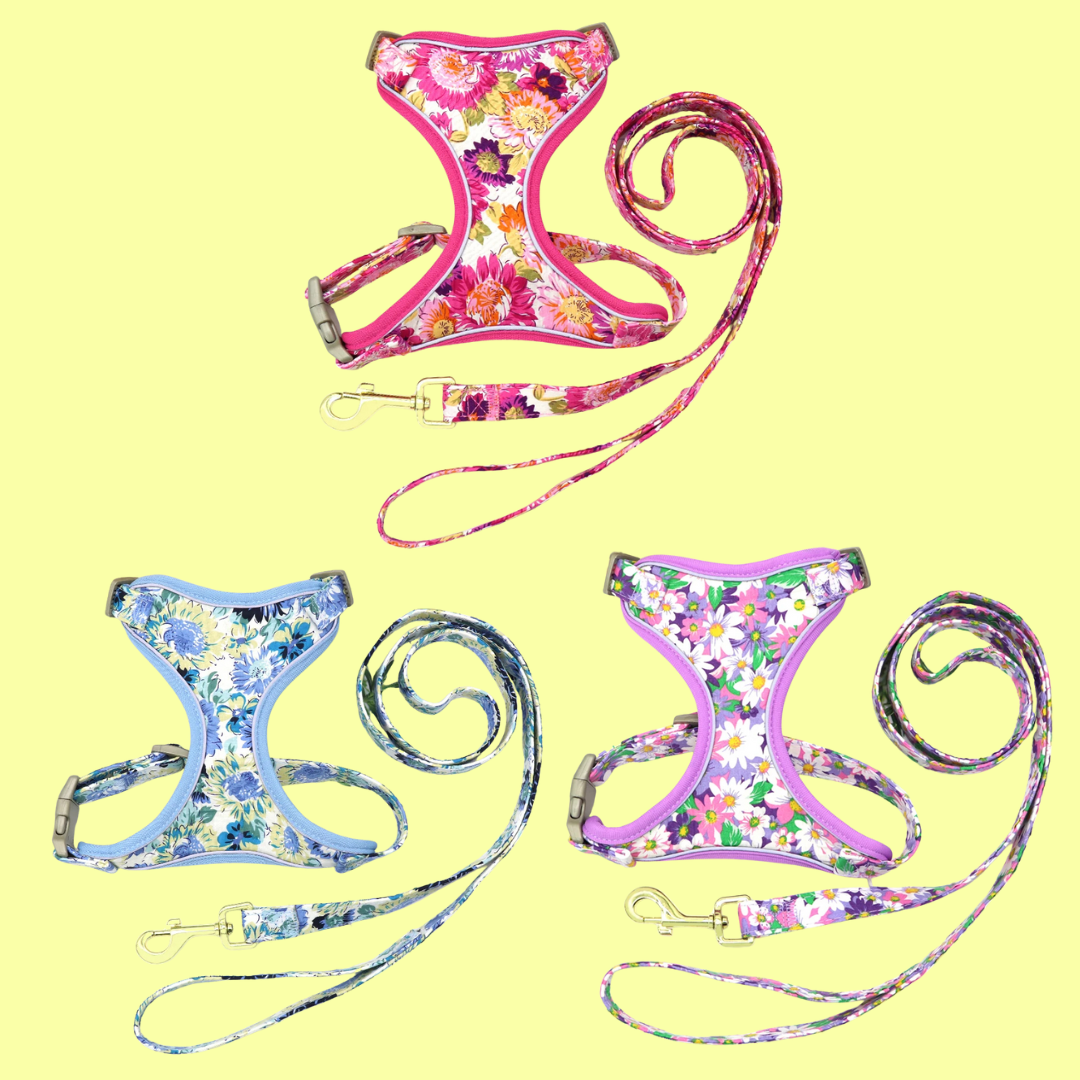 Blumiges Hundegeschirr - atmungsaktiv und reflektierend