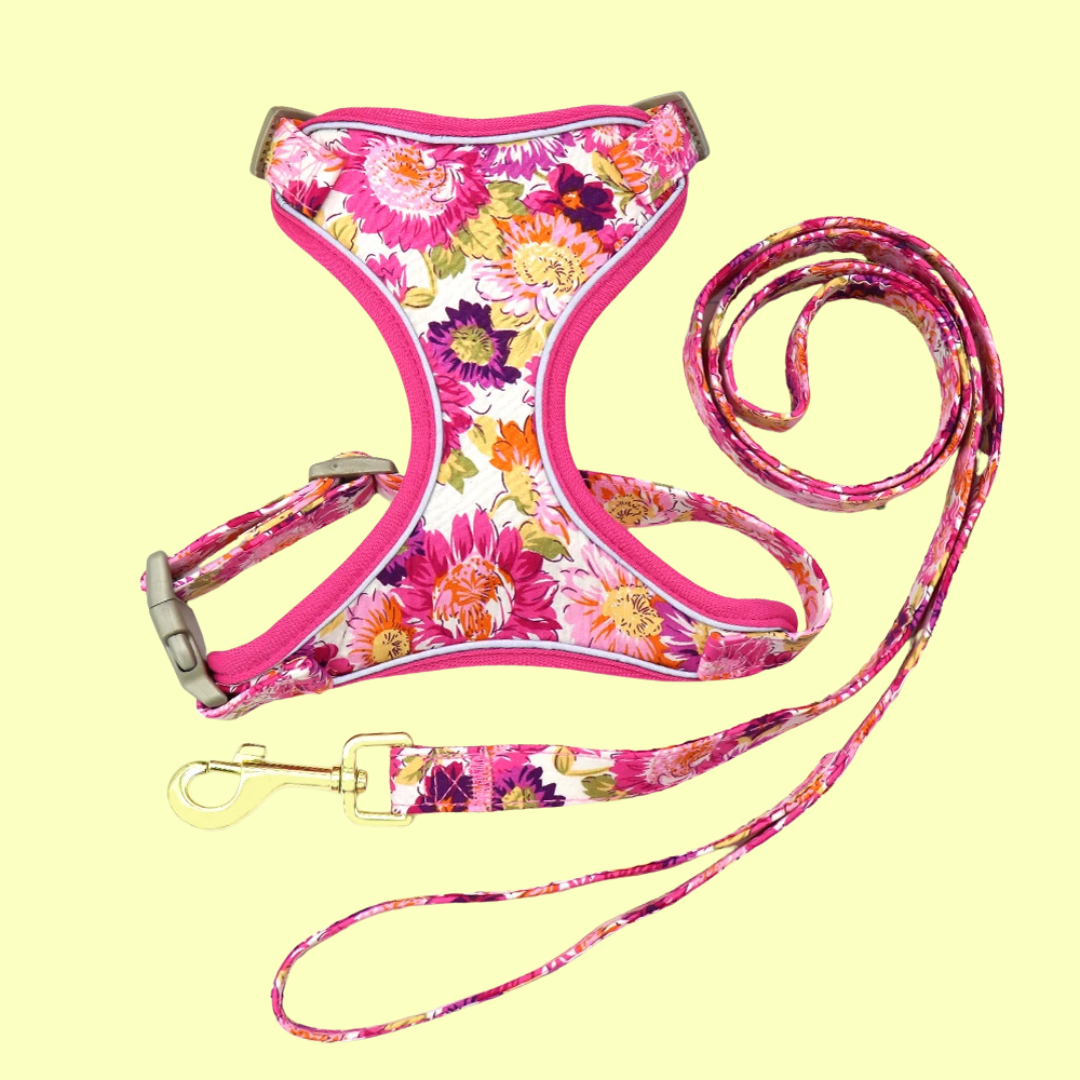Blumiges Hundegeschirr - atmungsaktiv und reflektierend