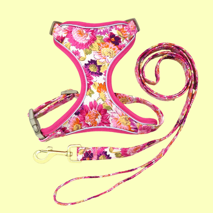 Blumiges Hundegeschirr - atmungsaktiv und reflektierend
