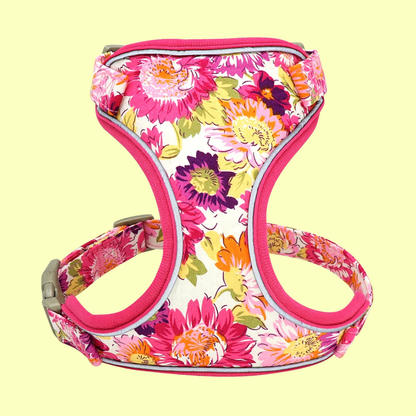 Blumiges Hundegeschirr - atmungsaktiv und reflektierend